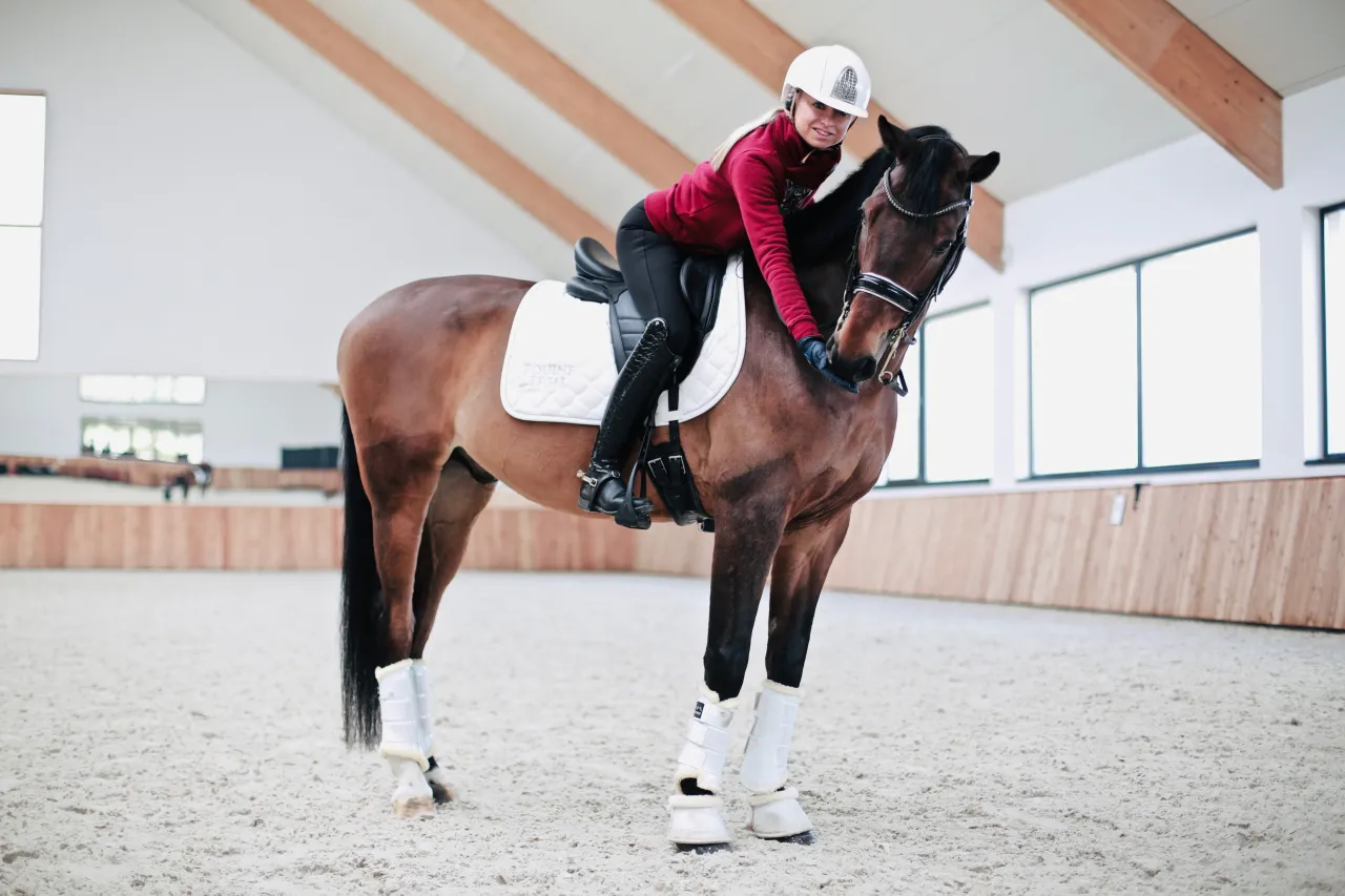 Błędy przy zakupie konia