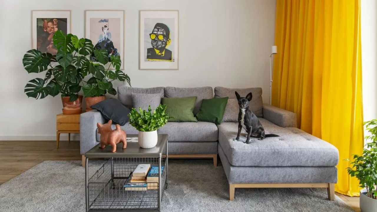 szara kanapa inspiracje dodatki