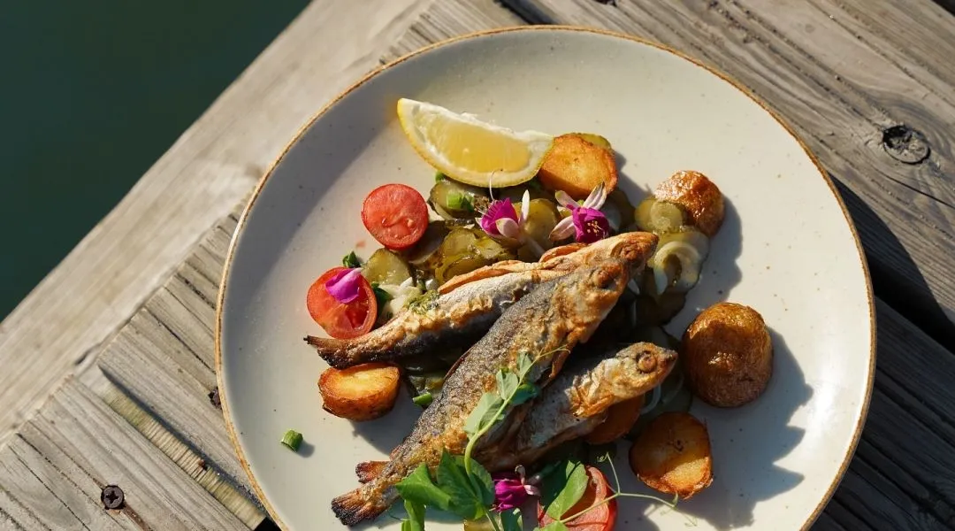 świeża smażona ryba na talerzu z widokiem na jezioro na Mazurach