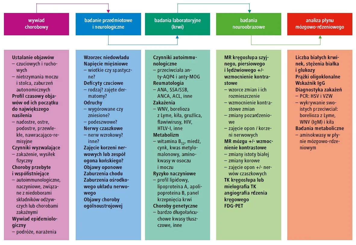 tabela por&oacute;wnanie migrena b&oacute;l napięciowy