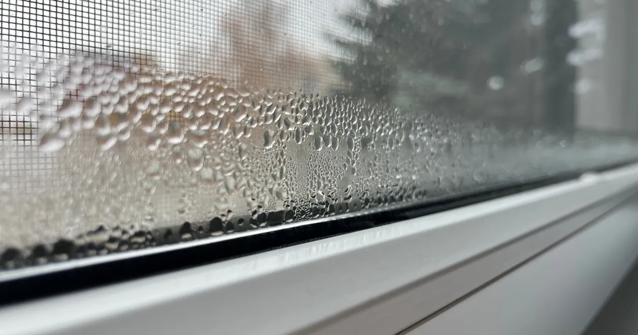 Krople wody na szybie okna, pokazujące, dlaczego skrapla się woda na oknach. Widoczna siatka moskitiery.