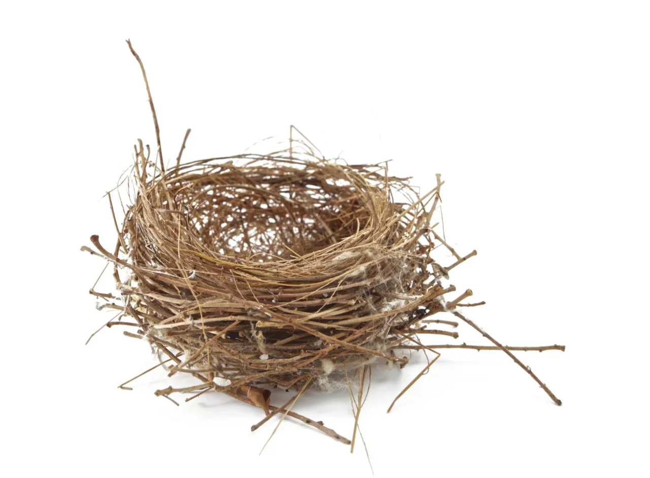 rodzice żegnający dziecko wyprowadzające się z domu