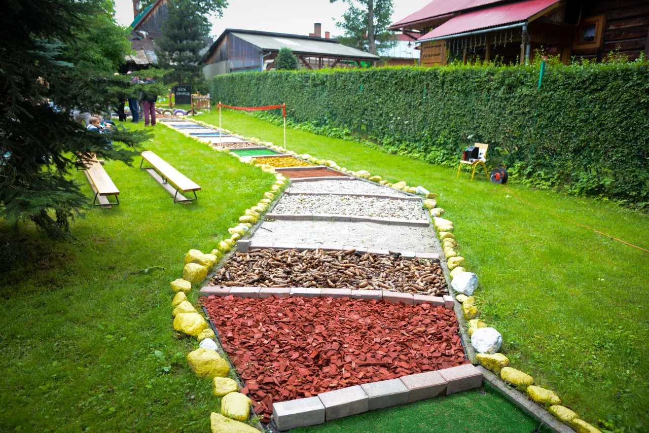 Ogród sensoryczny dla dzieci