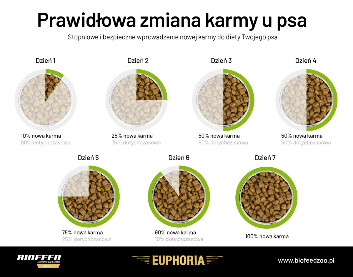 schemat zmiany karmy szczeniaka