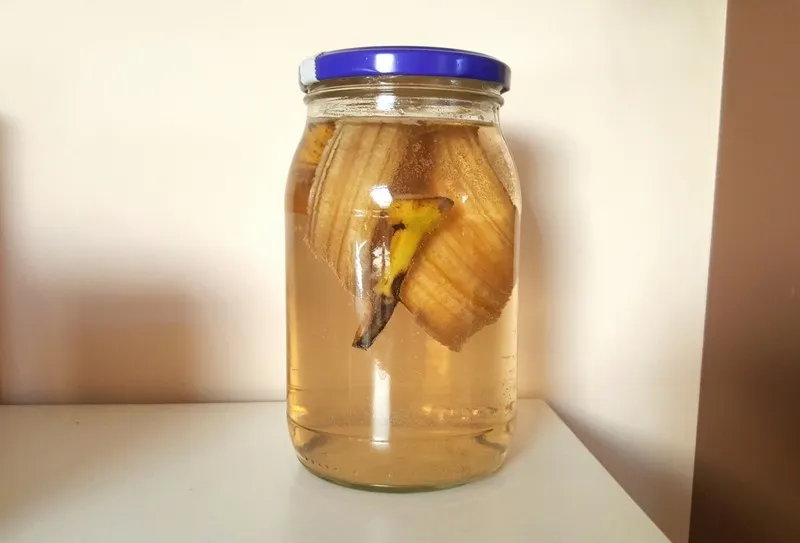 skórki bananów w słoiku woda nawóz