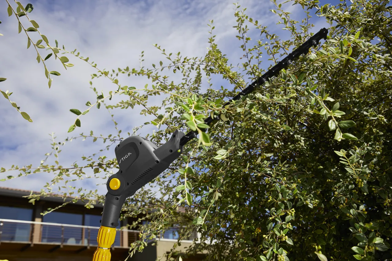 Kalendarz przycinania żywopłotu