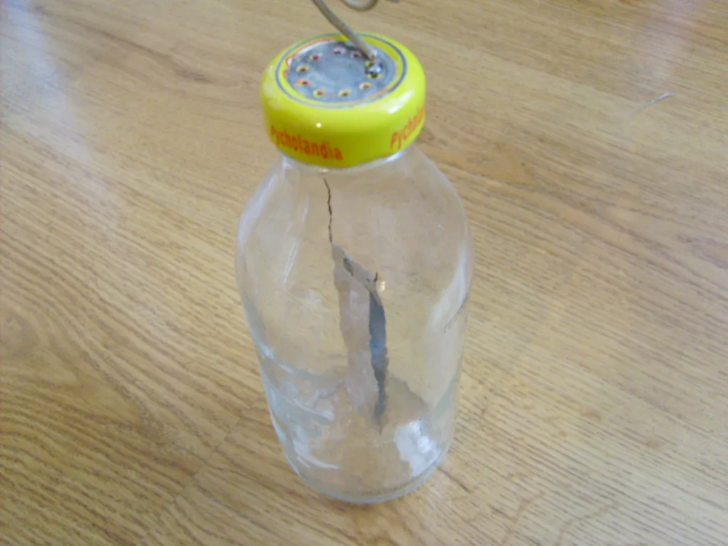 materiały do budowy elektroskopu z butelki