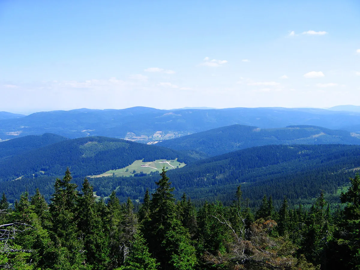 Czarna G&oacute;ra wieża widokowa latem