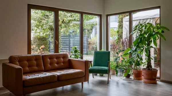 Przytulny salon tekstylia rośliny