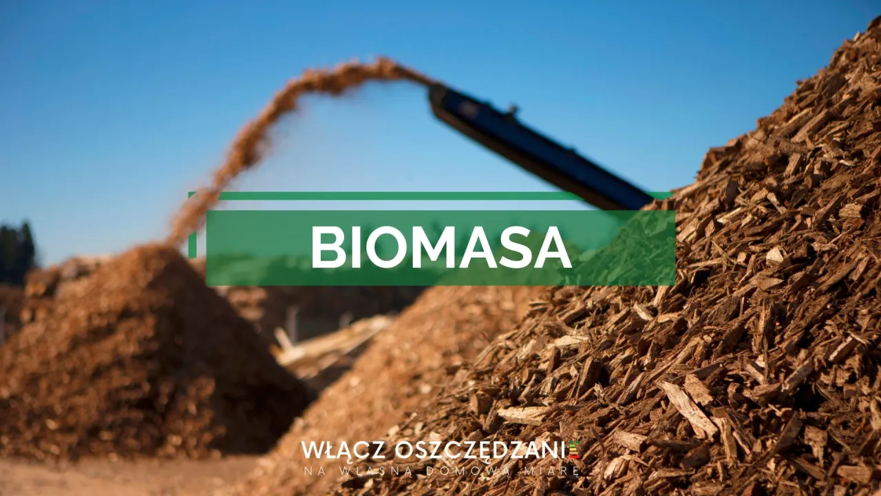 Ogromne hałdy zrębk&oacute;w drzewnych, symbolizujące energię biomasy, gotowe do przetwarzania. Napis 