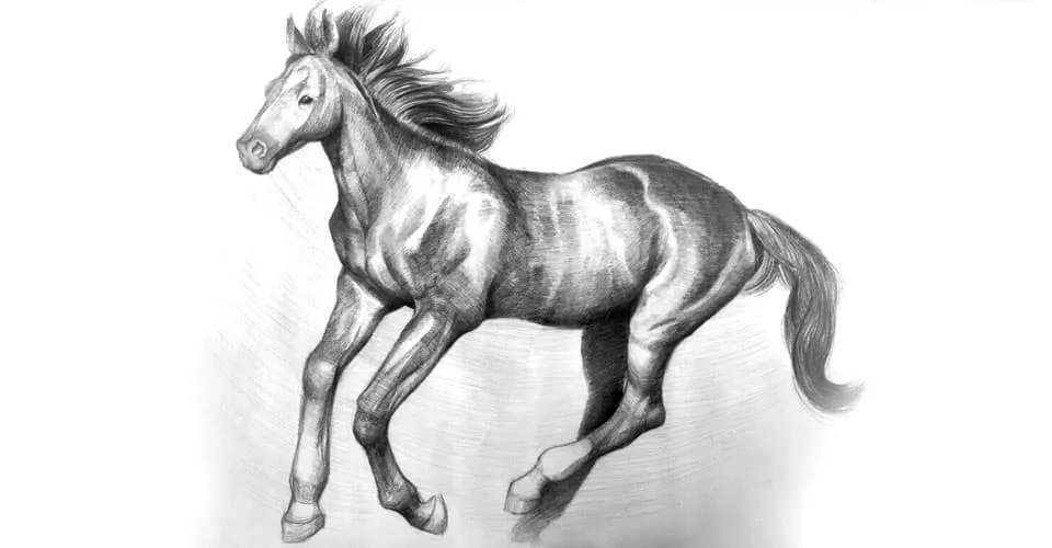 rysunek konia w galopie