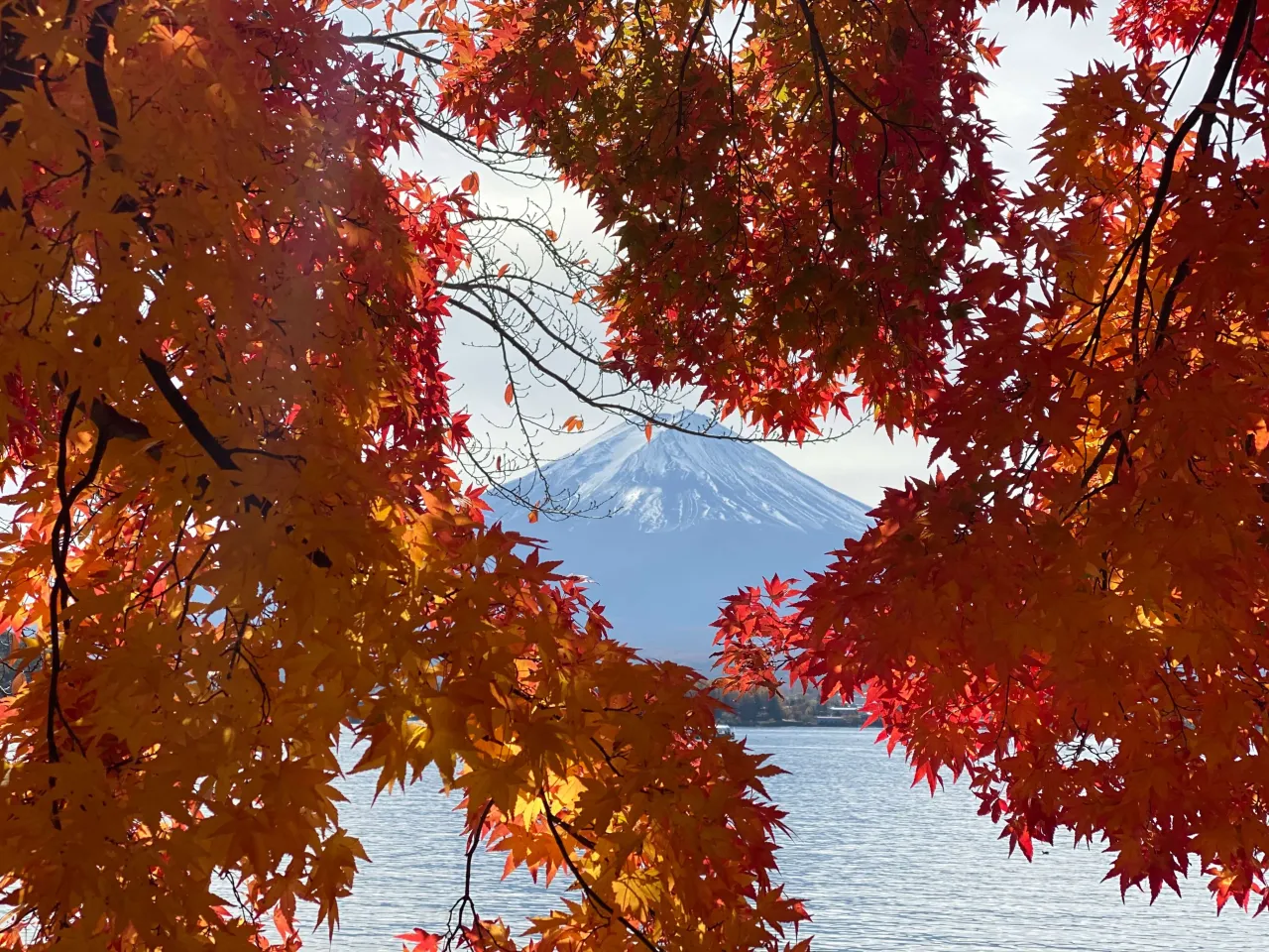 Krajobraz g&oacute;r Japonii z kwitnącymi roślinami