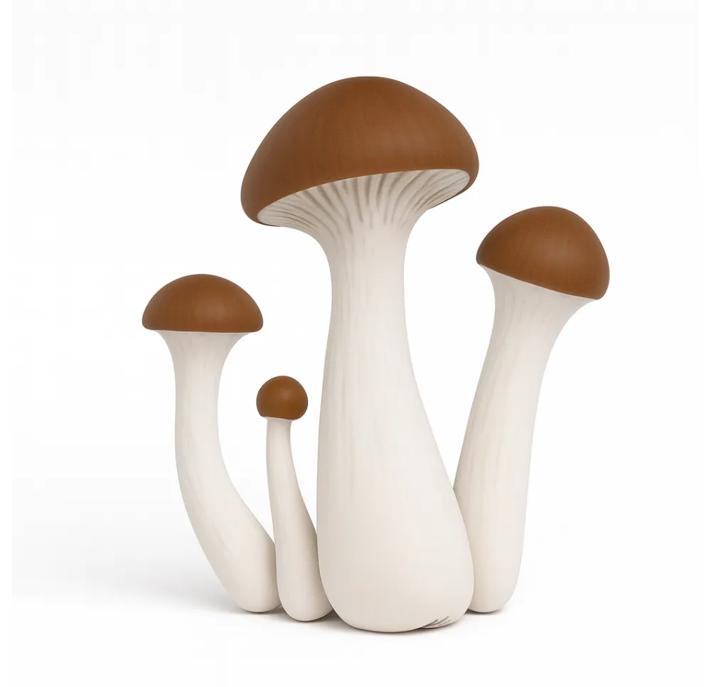 Growkit do obserwacji mikroskopowej