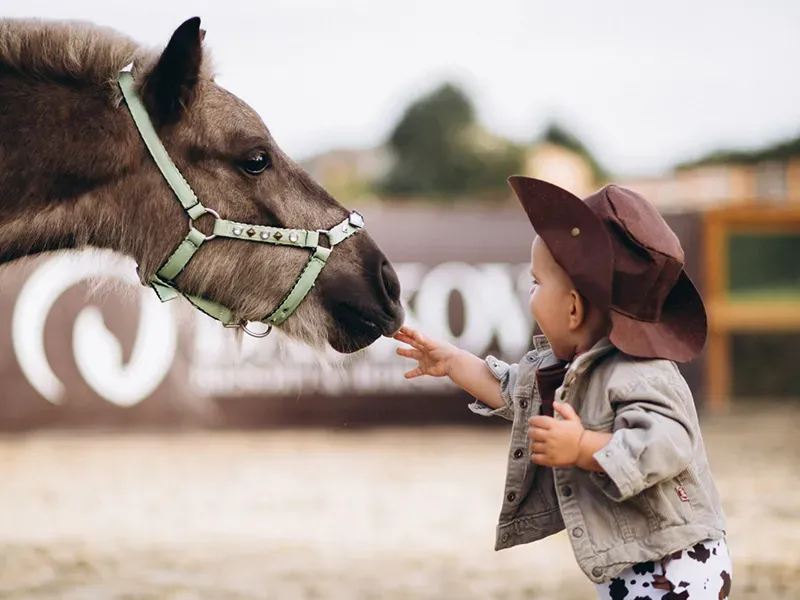 dzieci jazda konna dąbrowa górnicza