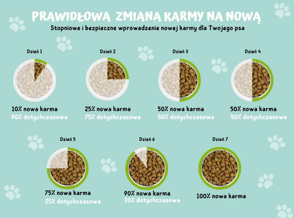 tabela zmiany karmy dla psa