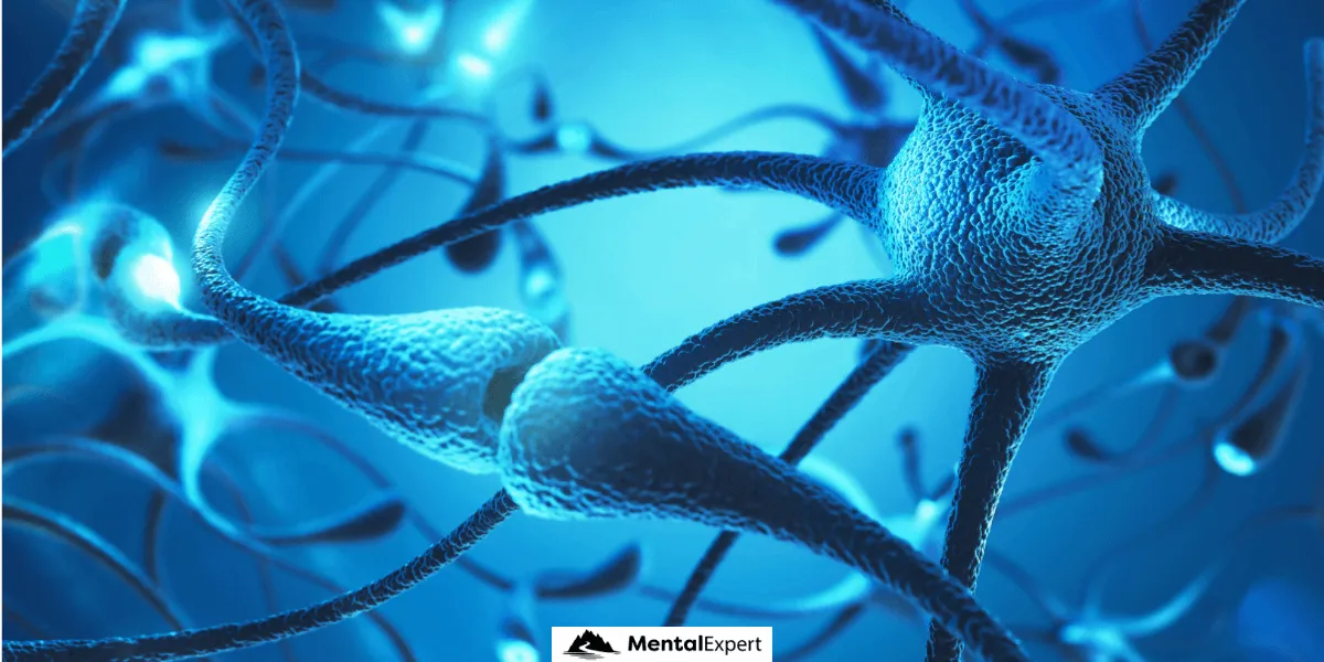 mózg połączenia neuronowe psychologia