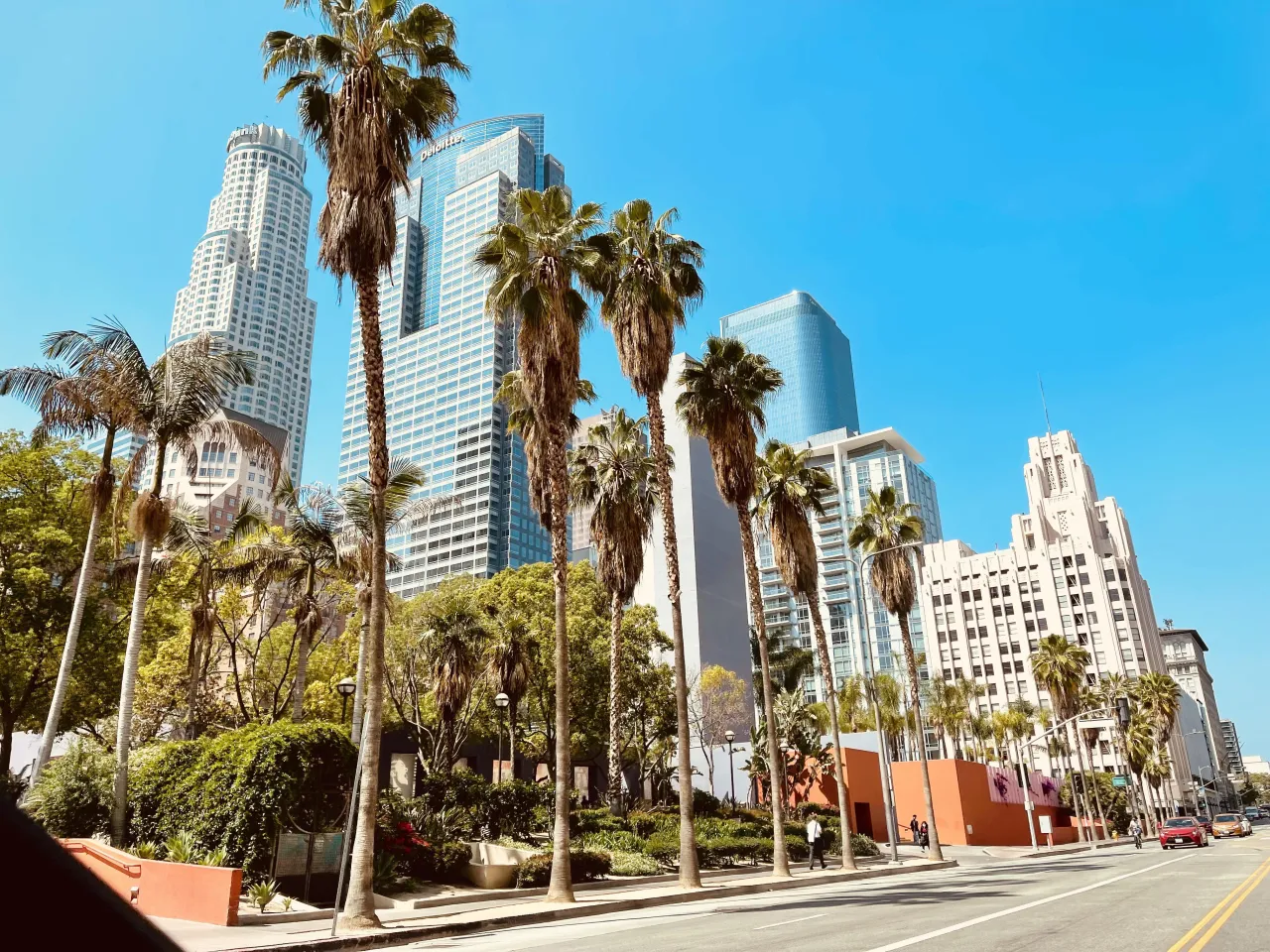 Los Angeles skyline day, palm trees, sunny