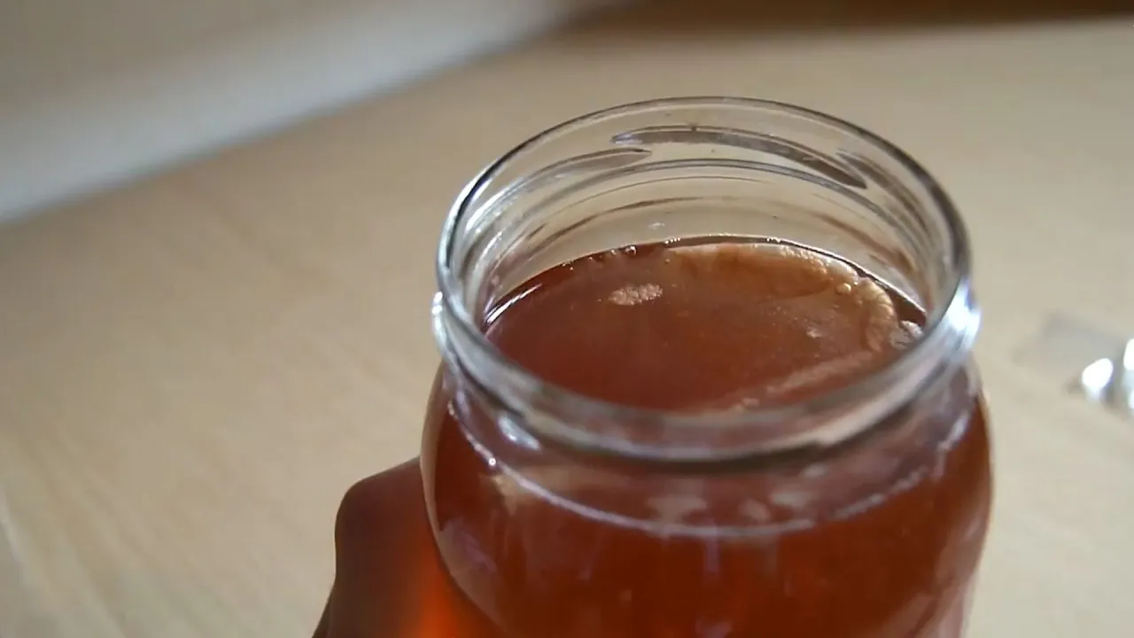 Zepsuta kombucha pleśń