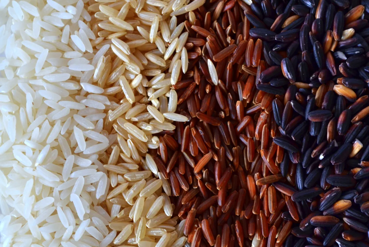 różne rodzaje ryżu biały brązowy czerwony czarny