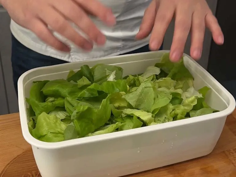 Salat Vorbereitung und Haltbarkeit