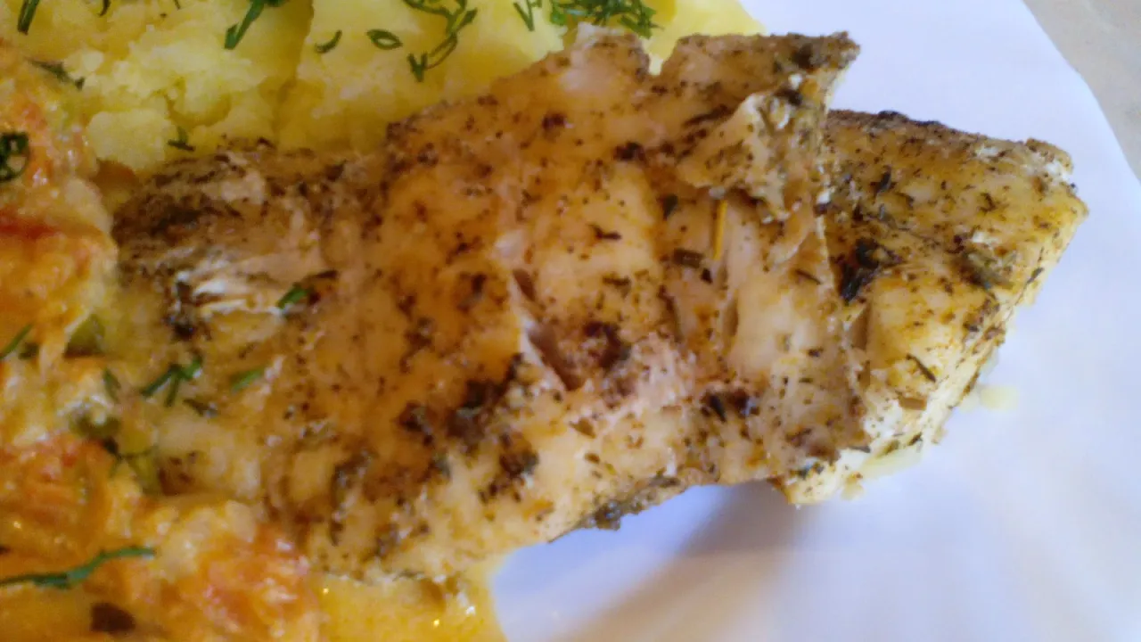 Różne gatunki świeżych ryb na ladzie