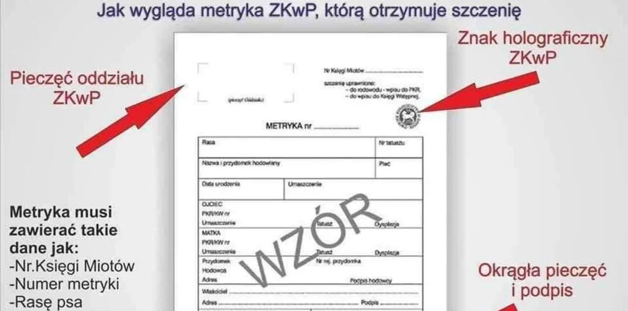 metryka psa a rodow&oacute;d