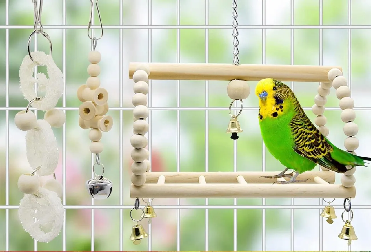Jak urządzić klatkę dla papugi? Drewniane zabawki z dzwoneczkami i papużka falista na huśtawce.