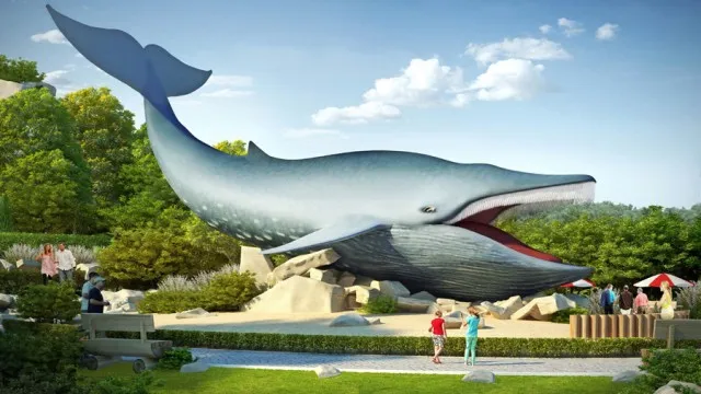 Ocean Park Władysławowo wieloryb