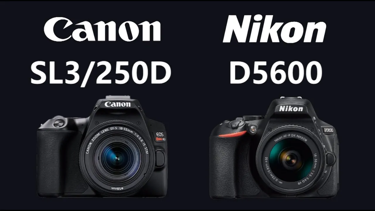 canon 250d vs nikon d5600