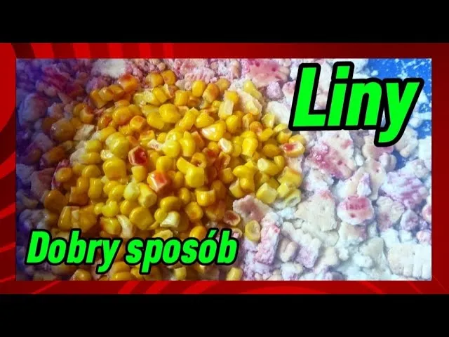 domowe przynęty na lina: fermentowana kukurydza, ciasto wędkarskie
