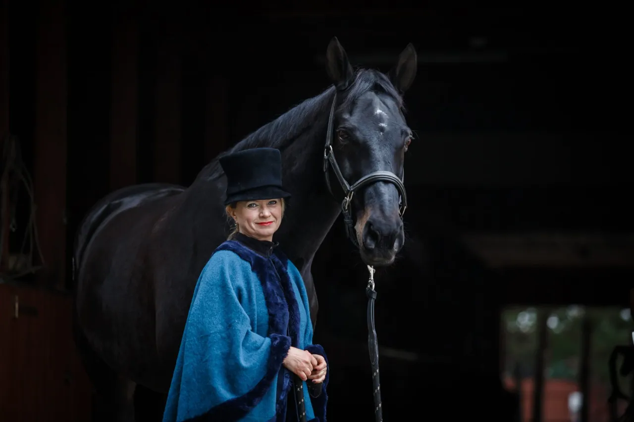 Koń z rzędem definicja