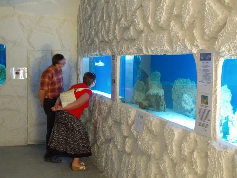 Oceanarium Mielno wnętrze