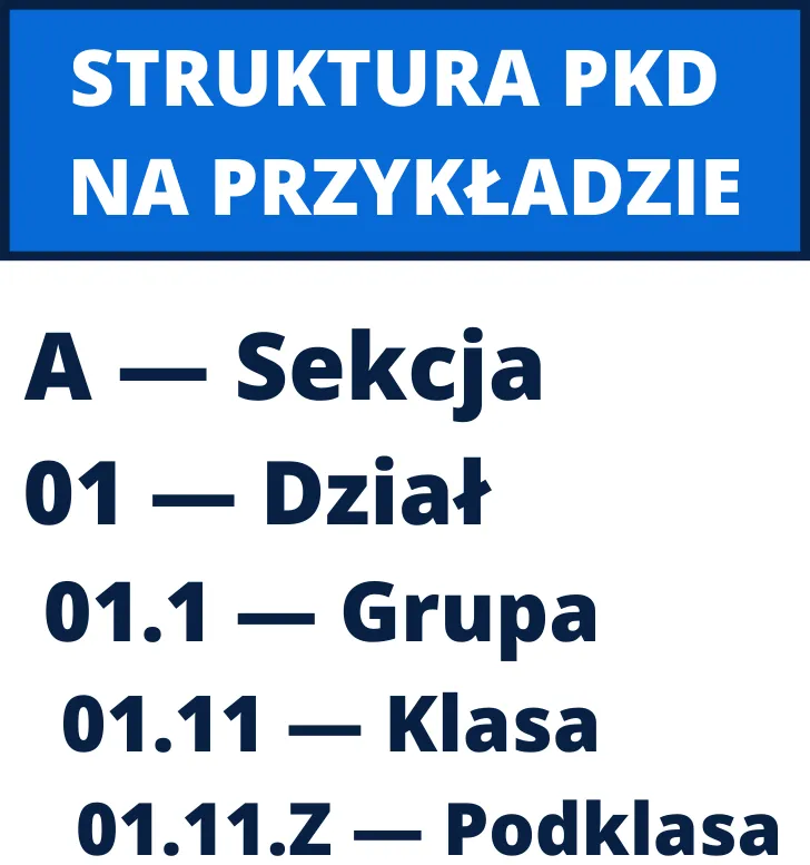 Zdjęcie Klasyfikacja PKD: Tajemnice kodów, które rządzą biznesem i nie tylko