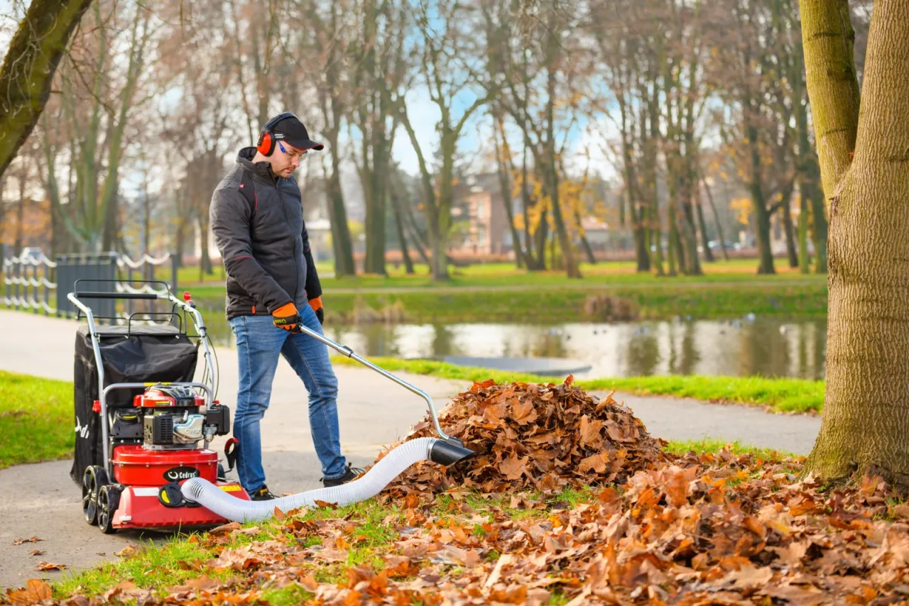 odkurzacz do liści r&oacute;żne typy