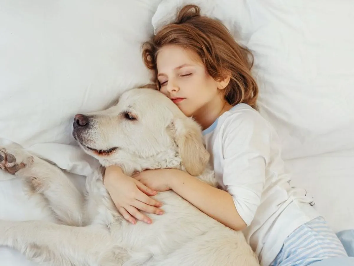 Właściciel psa rozważający decyzję o wspólnym spaniu