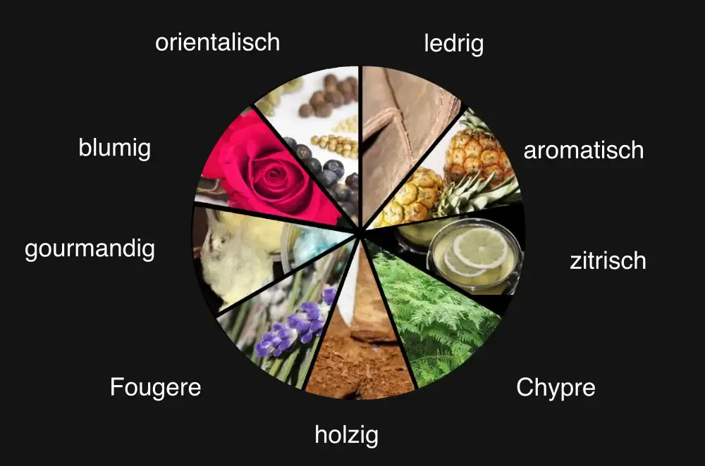 verschiedene Parfüm Duftfamilien Infografik