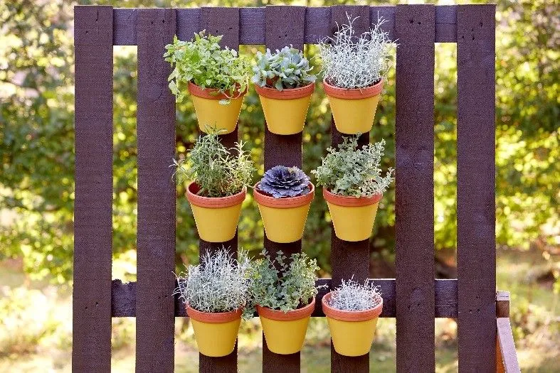 zioła i truskawki rosnące w pionowym kwietniku z palet