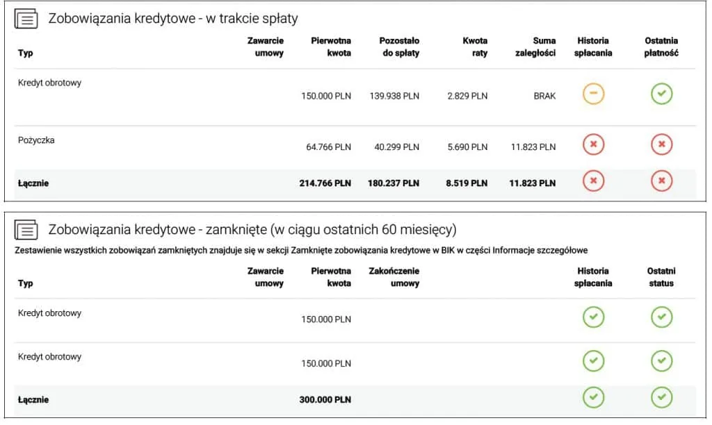 Osoba analizująca raport BIK po upadłości konsumenckiej