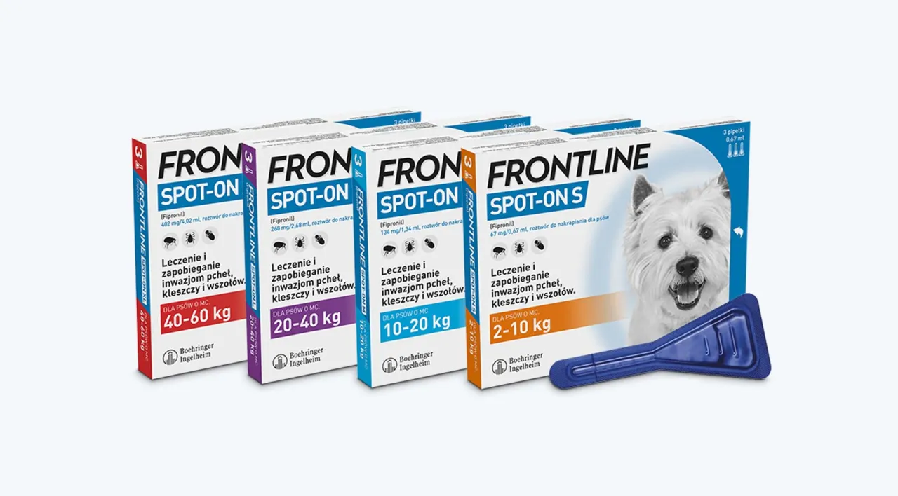 Frontline dla psa rodzaje opakowań i pipet