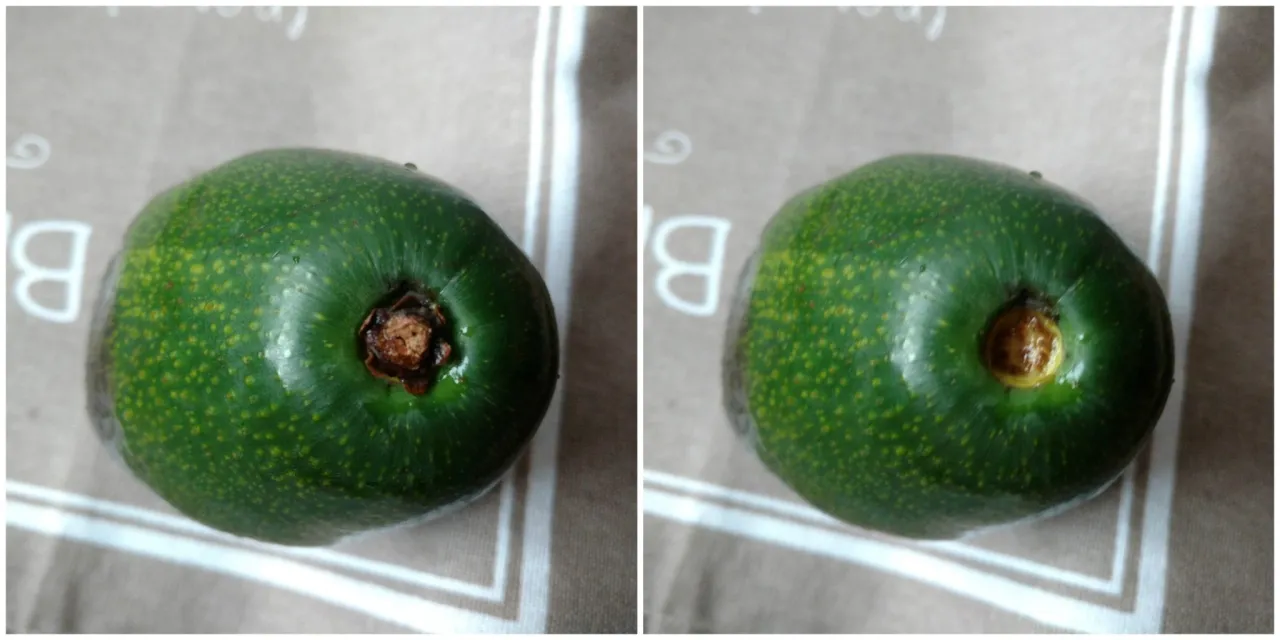 Dwa zielone awokado, idealne do guacamole, leżą na jasnym tle z białymi literami