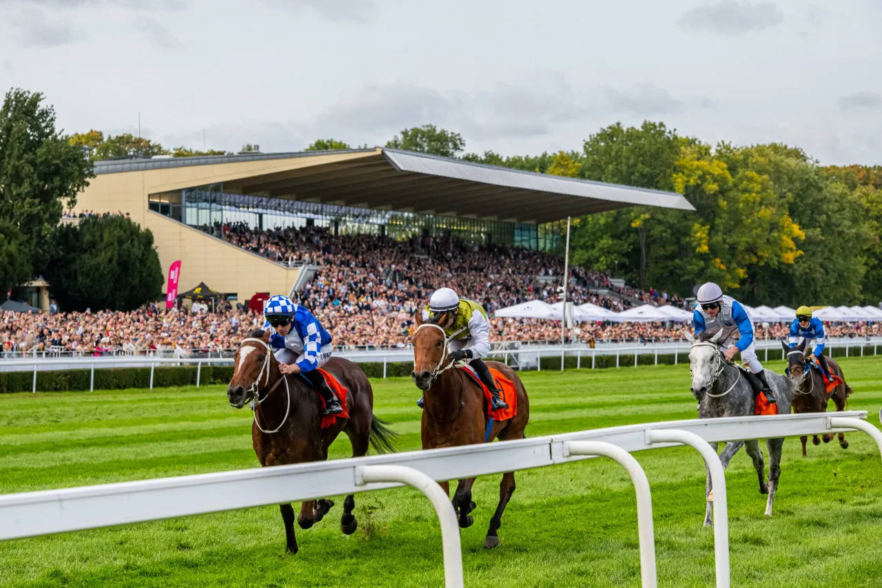 Tor Służewiec zawody jeździeckie