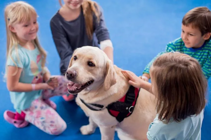 dziecko z psem podczas dogoterapii