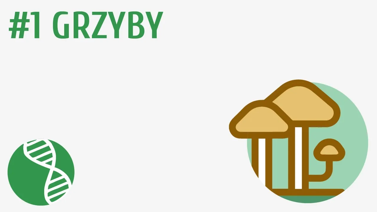 Zdjęcie Jak rozmnażają się grzyby? Odkryj fascynujące metody ich życia