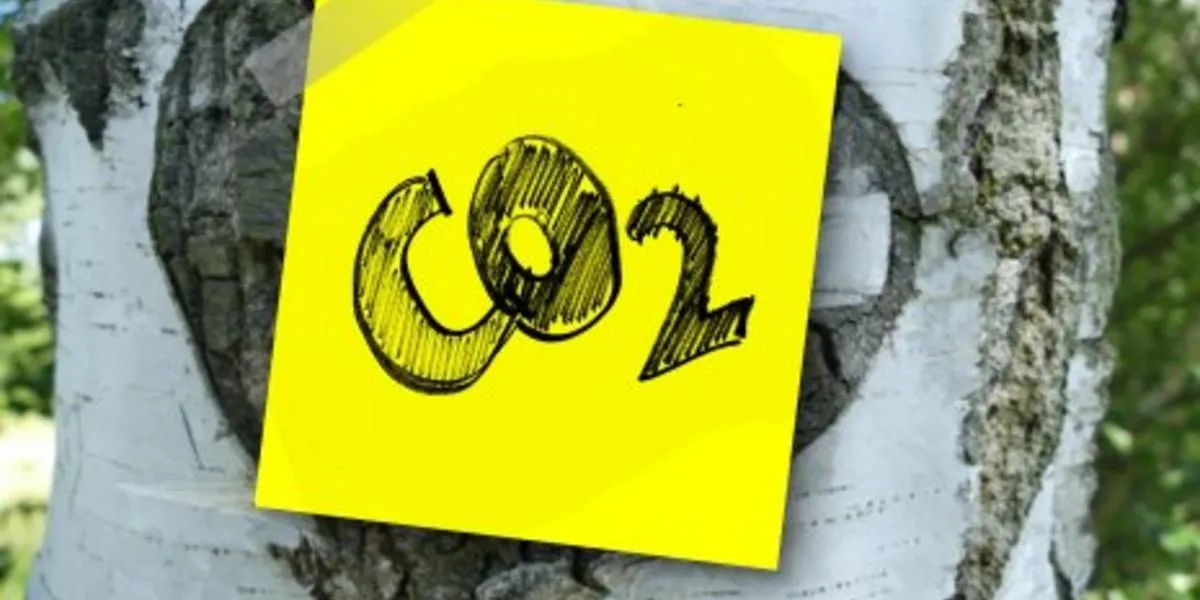 Zdjęcie Polska emisja CO2 na jednego mieszkańca – alarmujące dane i porównania
