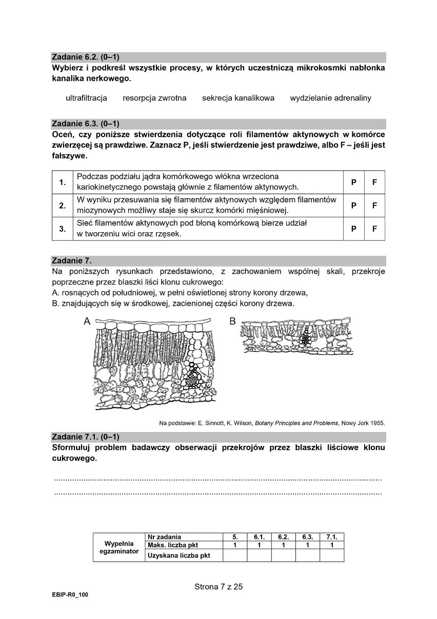 Zdjęcie Ile godzin biologii rozszerzonej w liceum? Sprawdź, co musisz wiedzieć