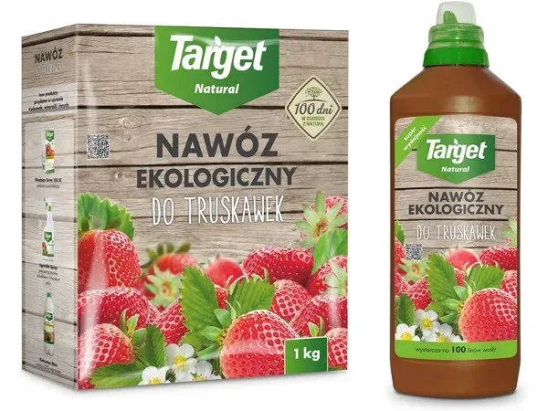 Zdjęcie Jaki nawóz pod truskawki na wiosnę? Poznaj najlepsze opcje nawożenia