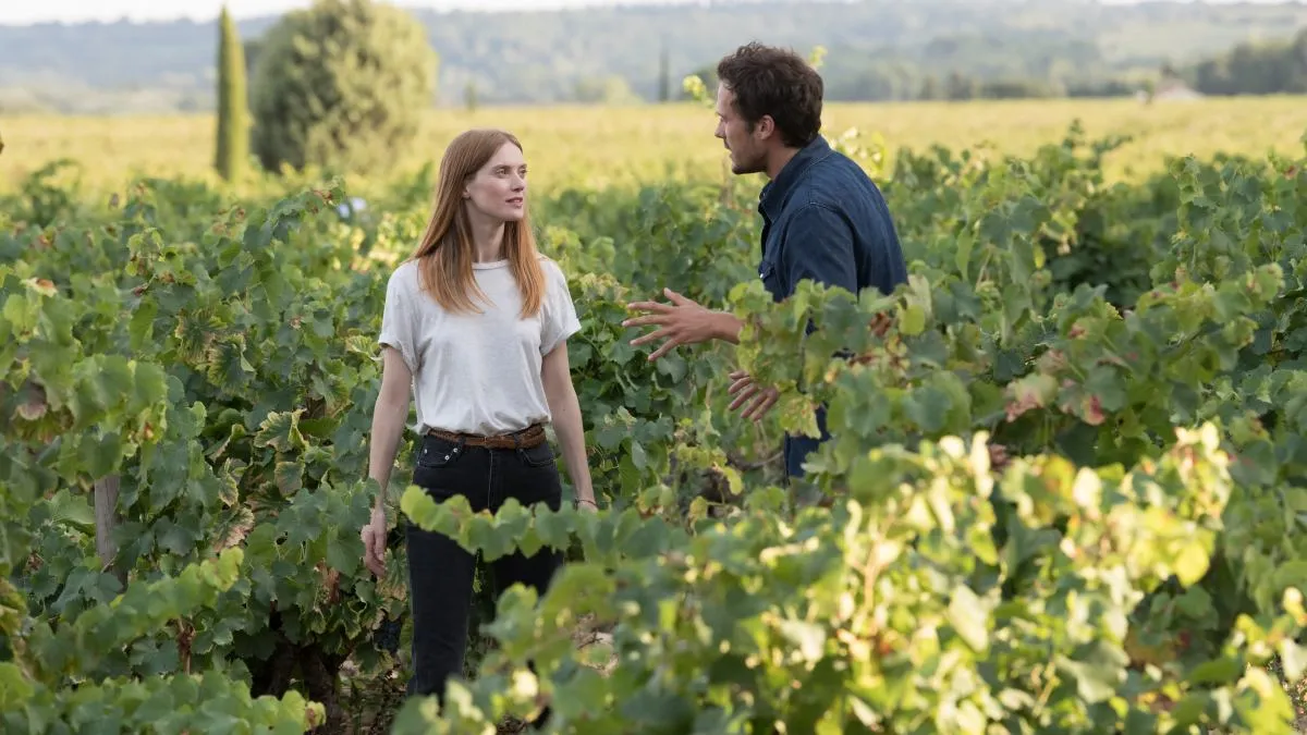 Zdjęcie Filmy o winnicy we Francji, które zmienią twoje spojrzenie na wino