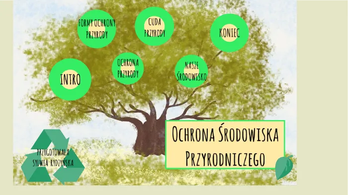 Zdjęcie Ochrona środowiska przyrodniczego: Kluczowe aspekty i działania