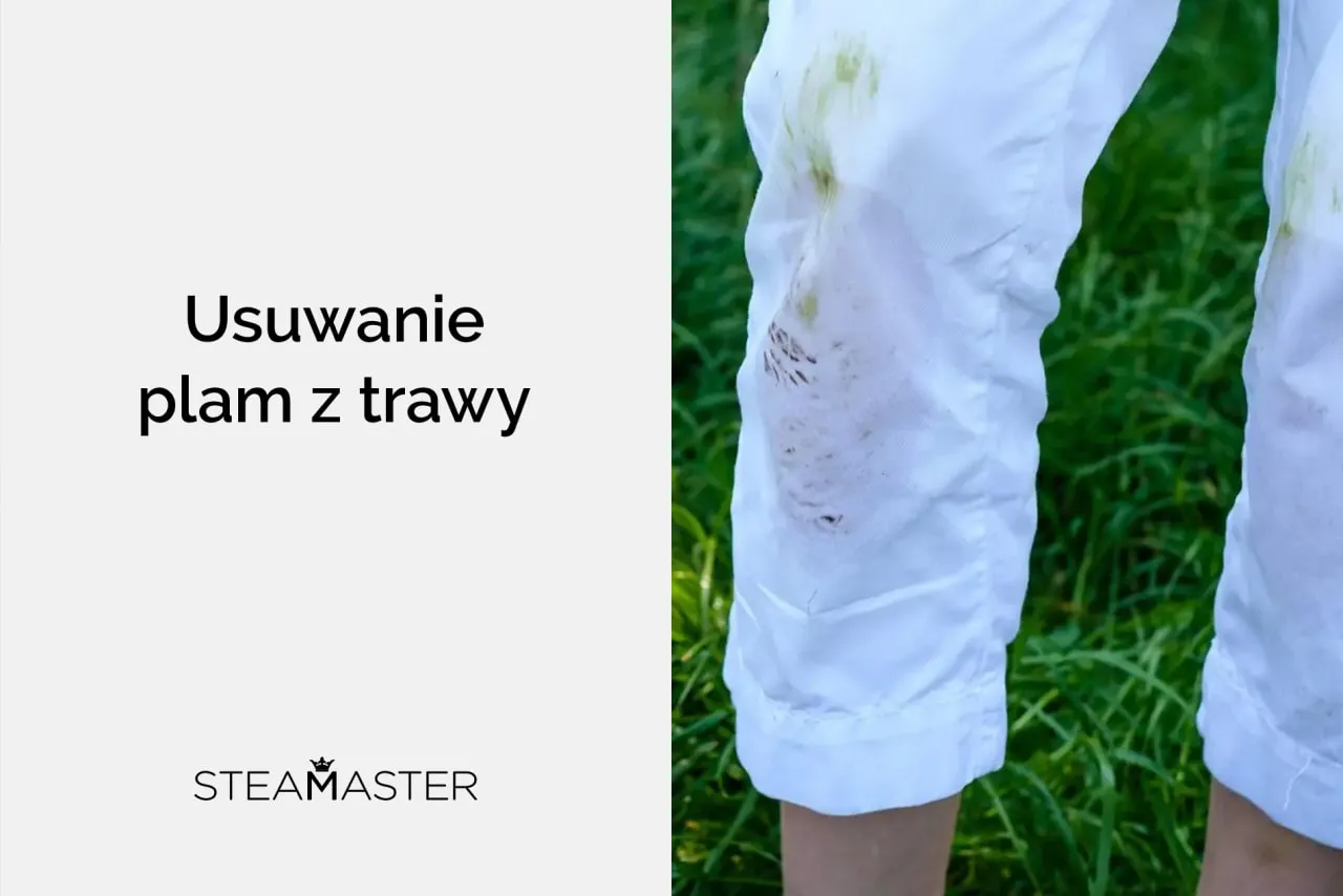 Zdjęcie Skuteczne sposoby na to, czym sprać trawę ze spodni, aby zniknęła