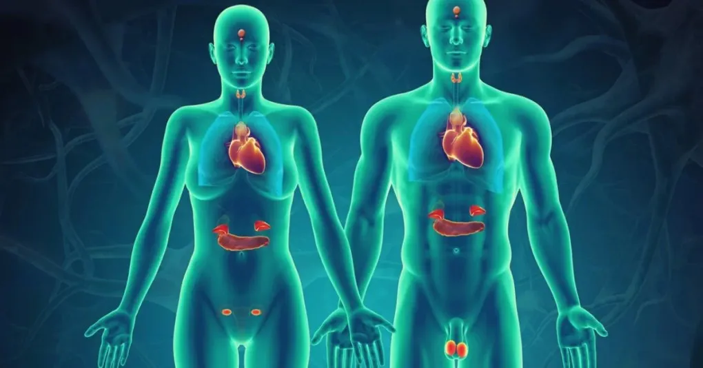 Zdjęcie Objawy zaburzeń hormonalnych u kobiet – jak je rozpoznać i co robić?